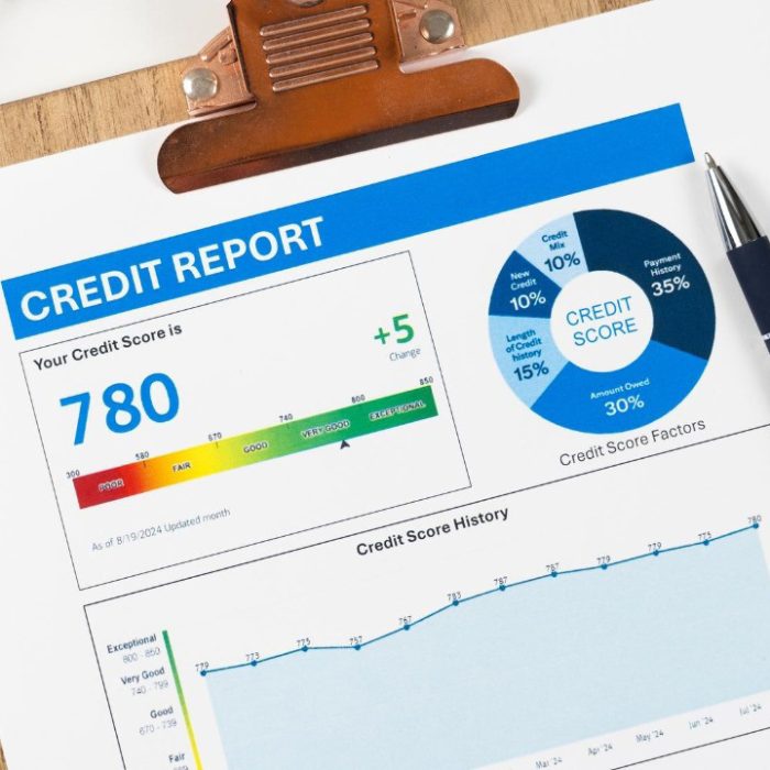 Credit Report Analysis